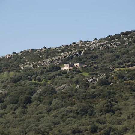 Campi Elisi B&B Sassari Zewnętrze zdjęcie