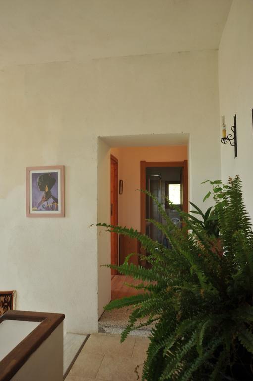 Campi Elisi B&B Sassari Zewnętrze zdjęcie